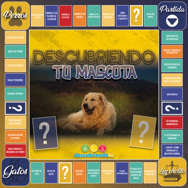 Descubriendo Tu Mascota